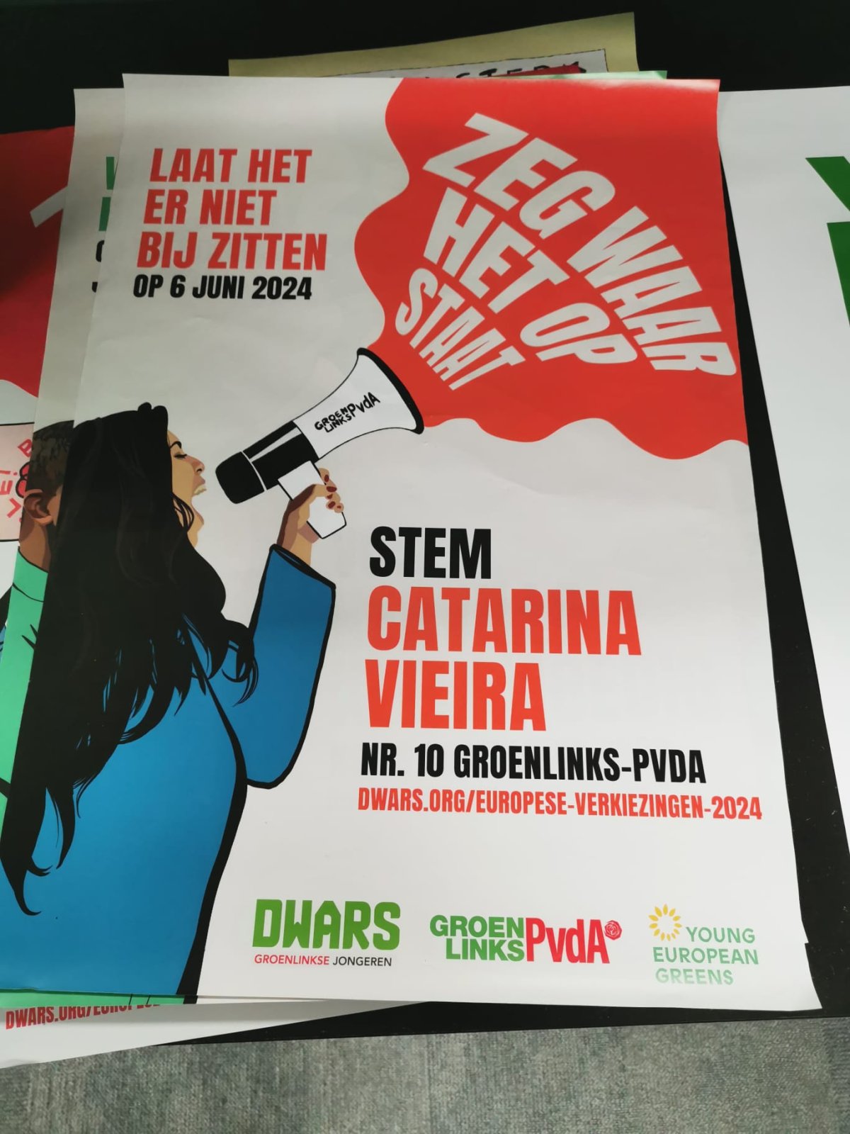 Uma Candidata Portuguesa Ao Parlamento Europeu Pelo GroenLinks