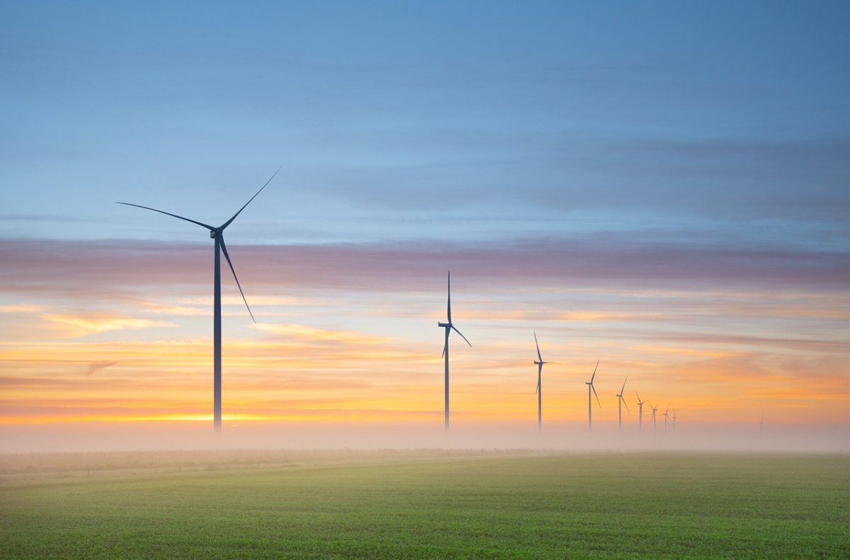 Renováveis Tornam-se A Maioria Da Energia Neerlandesa