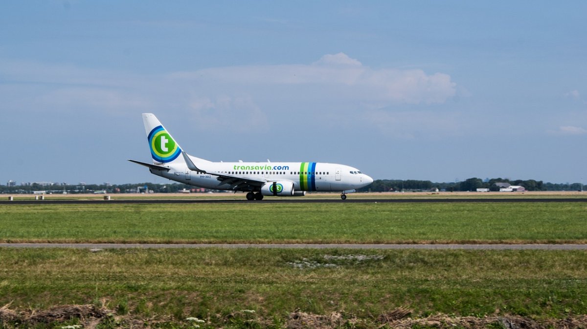 Transavia Precisa De 200 Milhões Por Ano Para Ser Sustentável